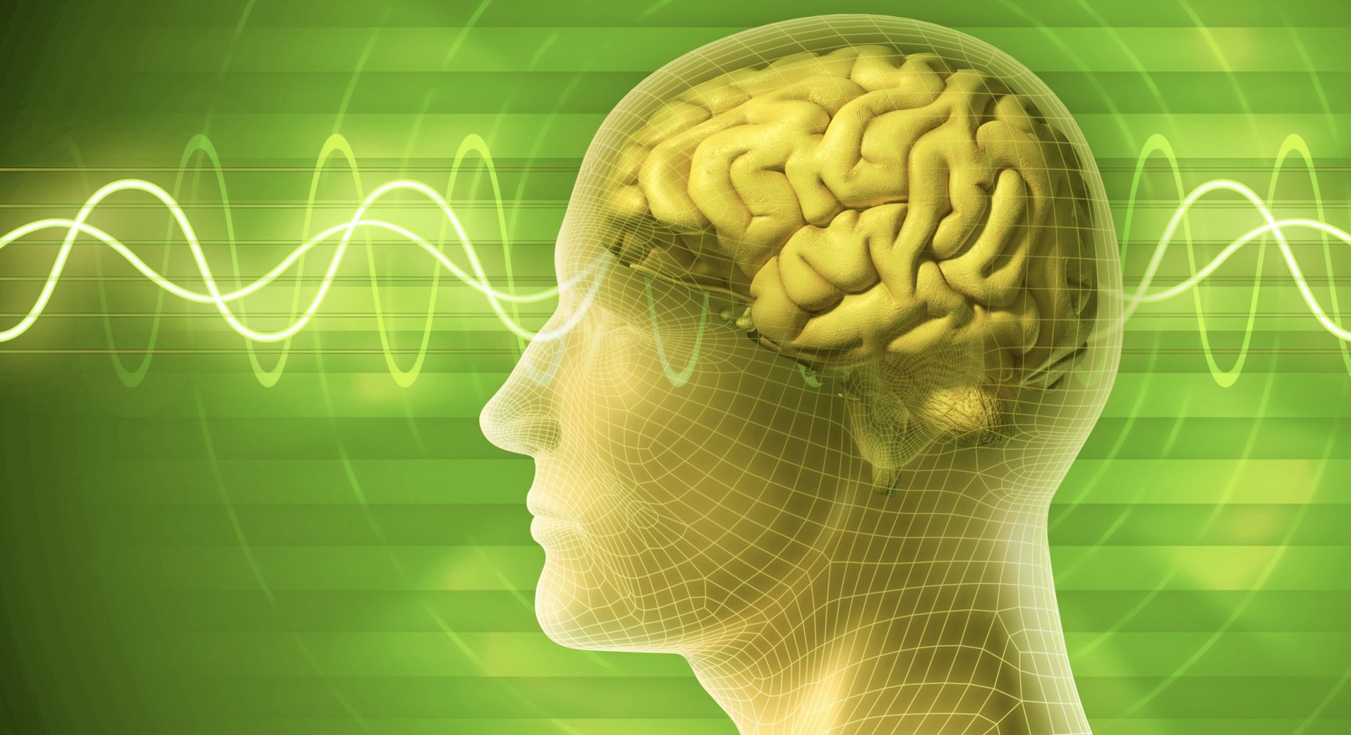Brainwaves and brain mapping